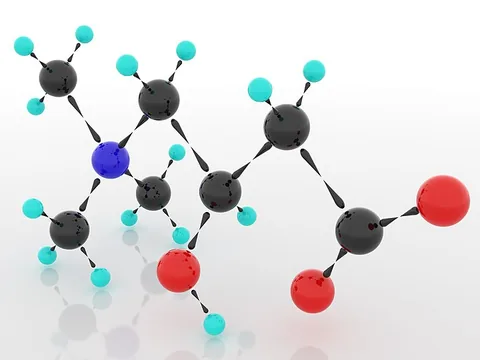 Ball-and-stick model of the L-carnitine molecule
